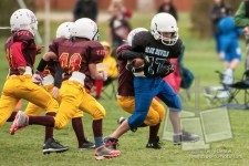 Bluedevils v Sundevils 5-10-14-81